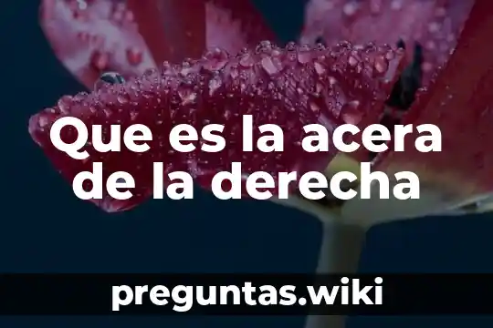 Que es la acera de la derecha
