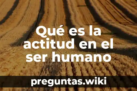 Qué es la actitud en el ser humano