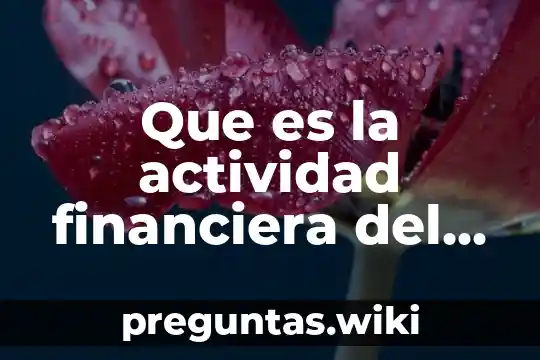 Que es la actividad financiera del estado en mexico