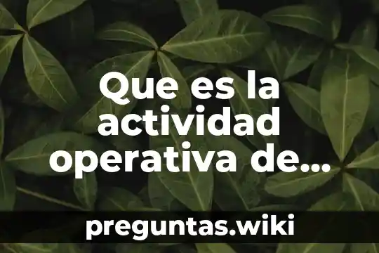 Que es la actividad operativa de una empresa