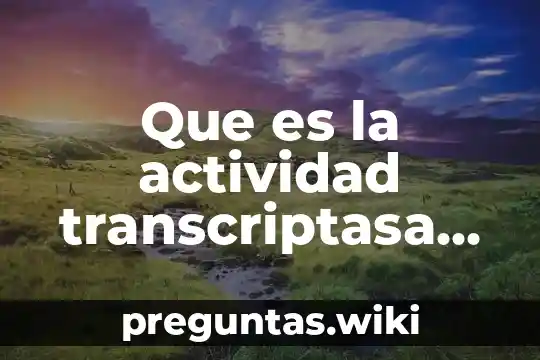 Que es la actividad transcriptasa reversa