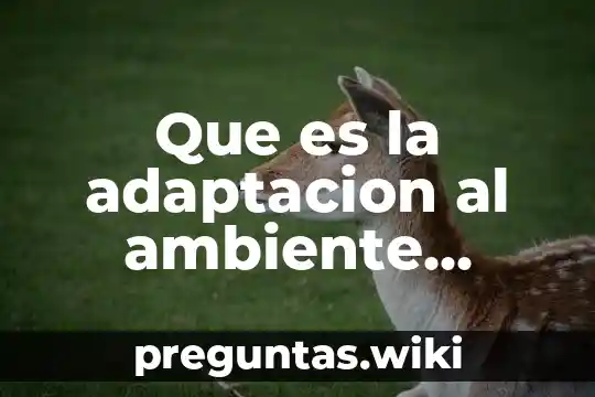 Que es la adaptacion al ambiente escolar
