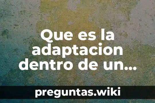 Que es la adaptacion dentro de un esquema de gestion