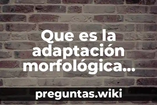 Que es la adaptación morfológica segun darwin