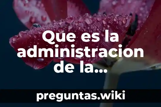 Que es la administracion de la produccion y las operaciones