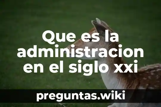 Que es la administracion en el siglo xxi