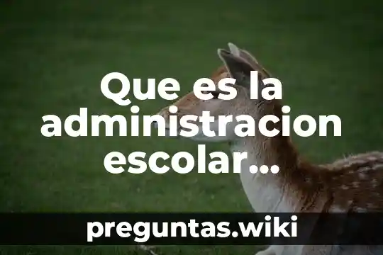 Que es la administracion escolar tradicional