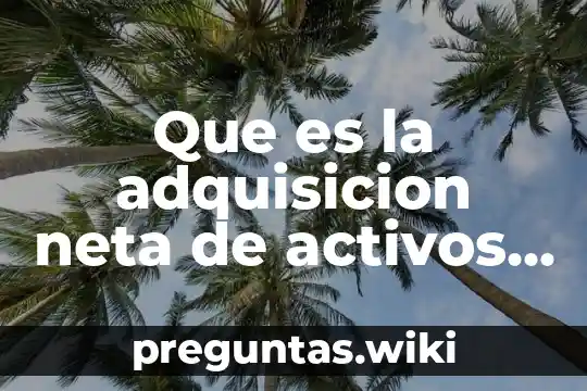 Que es la adquisicion neta de activos financieros
