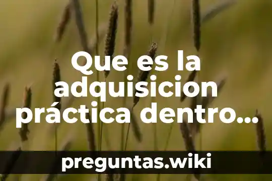Que es la adquisicion práctica dentro del conocimiento virtual