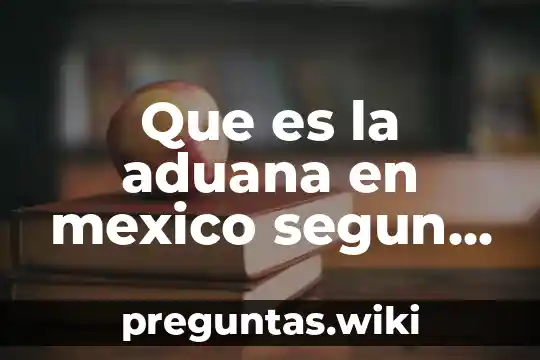 Que es la aduana en mexico segun autores