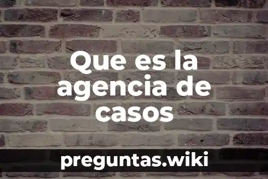 Que es la agencia de casos