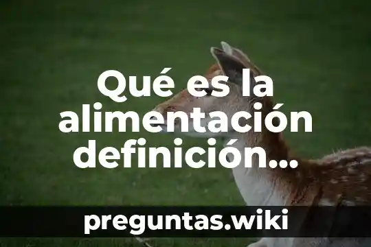 Qué es la alimentación definición completa