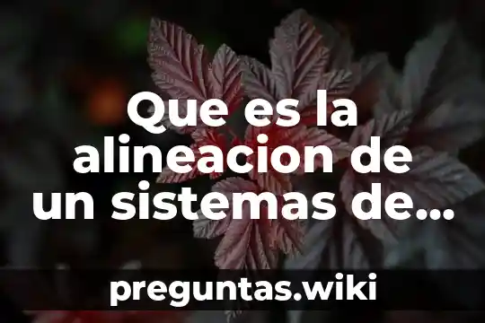 Que es la alineacion de un sistemas de transmision