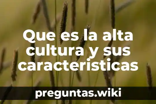 Que es la alta cultura y sus caracteristicas