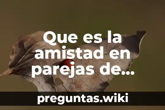 Que es la amistad en parejas de mismo genero