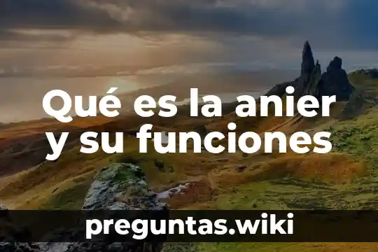 Qué es la anier y su funciones