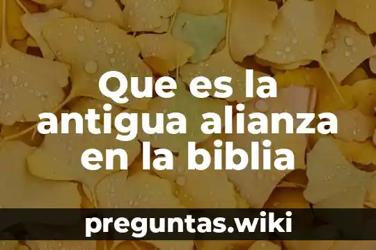 Que es la antigua alianza en la biblia
