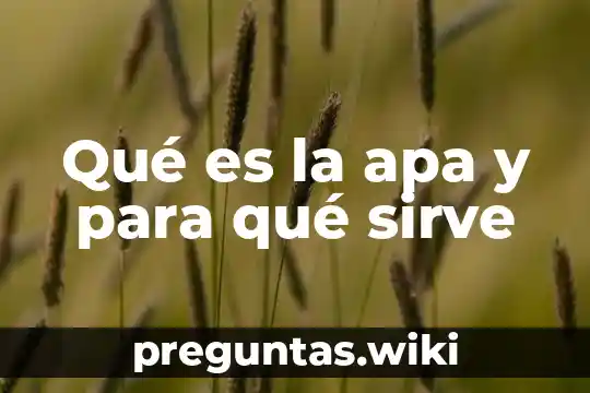 Qué es la apa y para qué sirve