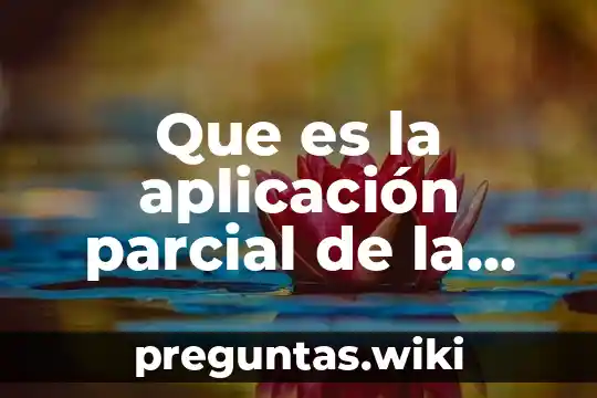 Que es la aplicación parcial de la ley