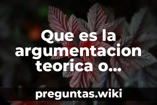 Que es la argumentacion teorica o marco teorico
