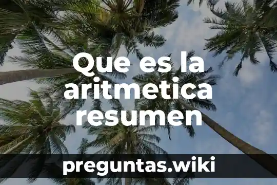 Que es la aritmetica resumen