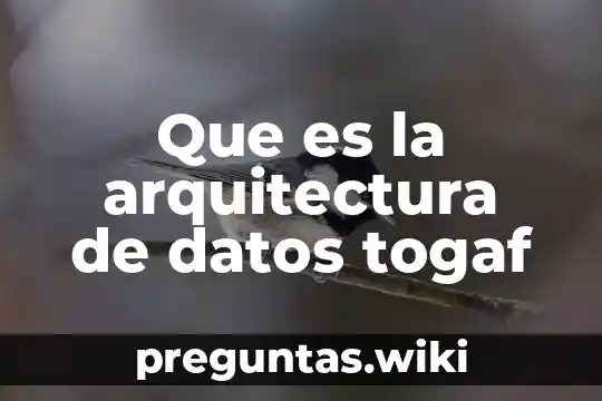 Que es la arquitectura de datos togaf