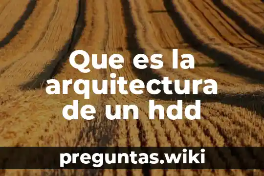 Que es la arquitectura de un hdd