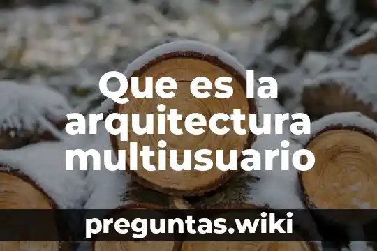 Que es la arquitectura multiusuario