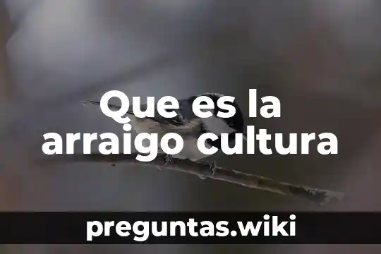 Que es la arraigo cultura