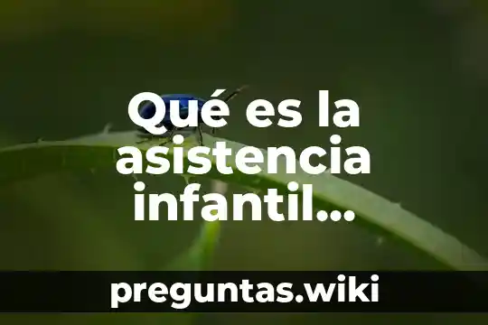 Qué es la asistencia infantil concepto