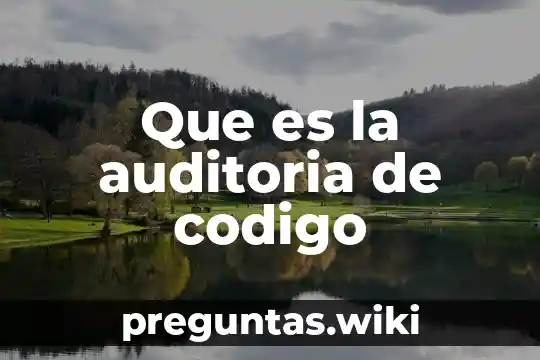 Que es la auditoria de codigo