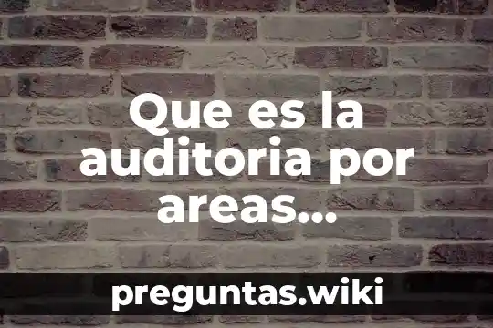 Que es la auditoria por areas especifica