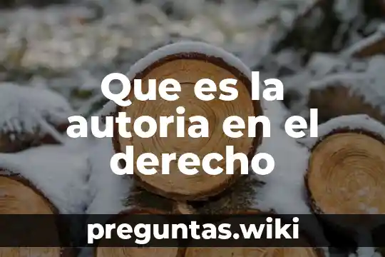 Que es la autoria en el derecho