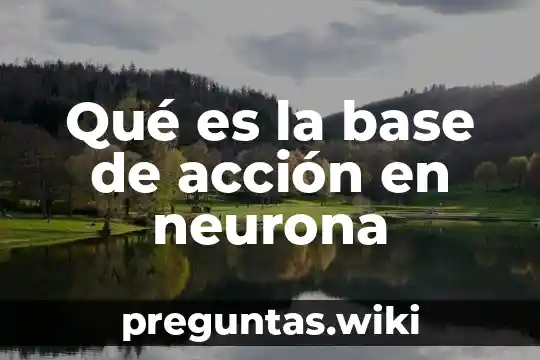 Qué es la base de acción en neurona