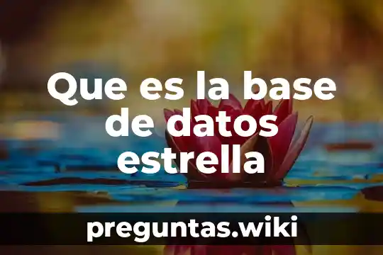 Que es la base de datos estrella