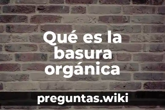 Qué es la basura orgánica