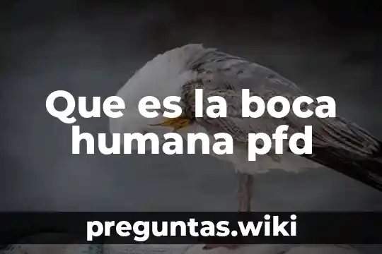 Que es la boca humana pfd