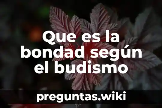 Que es la bondad según el budismo