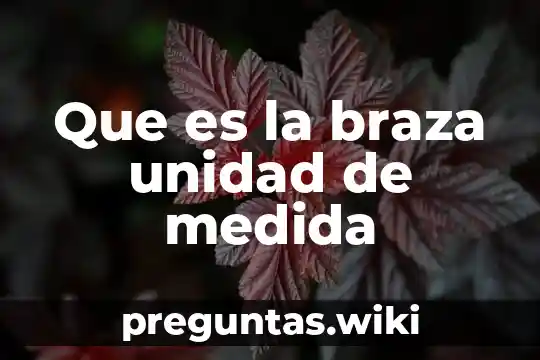 Que es la braza unidad de medida