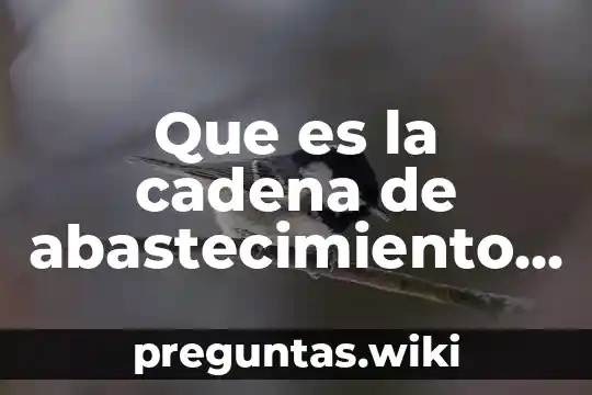 Que es la cadena de abastecimiento de libro