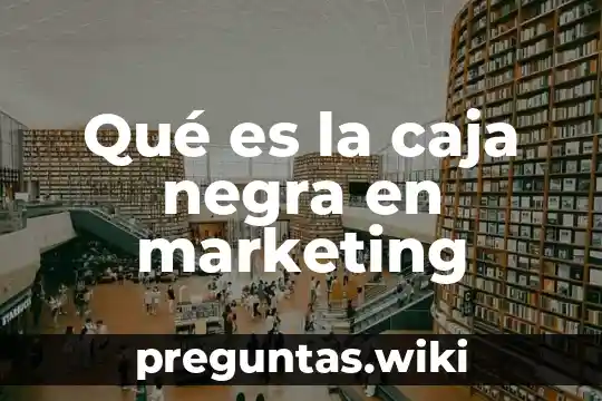 Qué es la caja negra en marketing