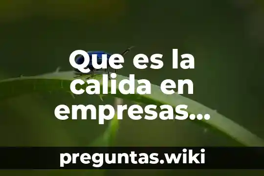 Que es la calida en empresas productos o servicios