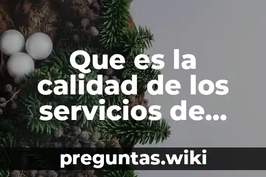 Que es la calidad de los servicios de salud