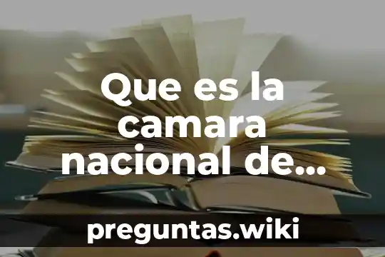 Que es la camara nacional de comercio y servitur