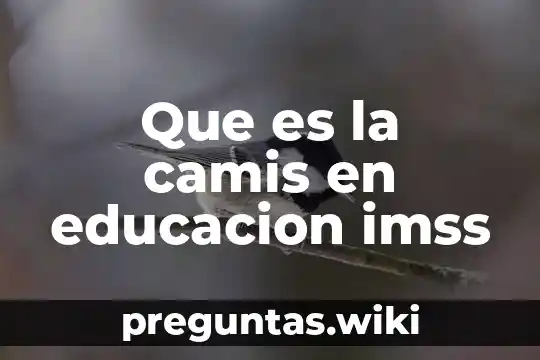 Que es la camis en educacion imss