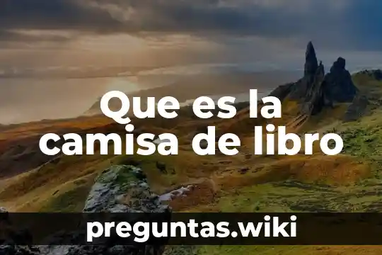 Que es la camisa de libro