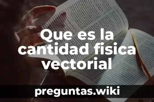 Que es la cantidad fisica vectorial