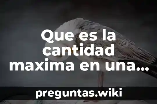 Que es la cantidad maxima en una tarjeta de inventario