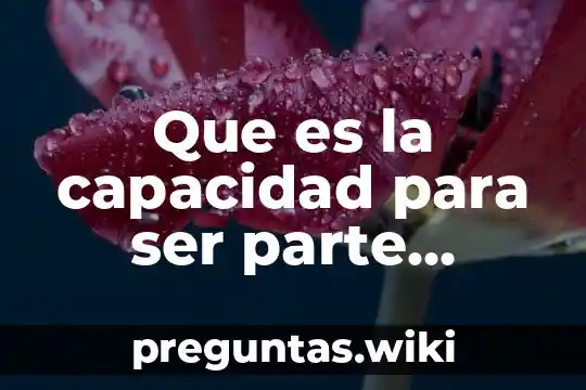 Que es la capacidad para ser parte procesal