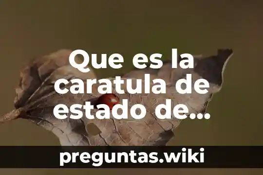 Que es la caratula de estado de cuenta